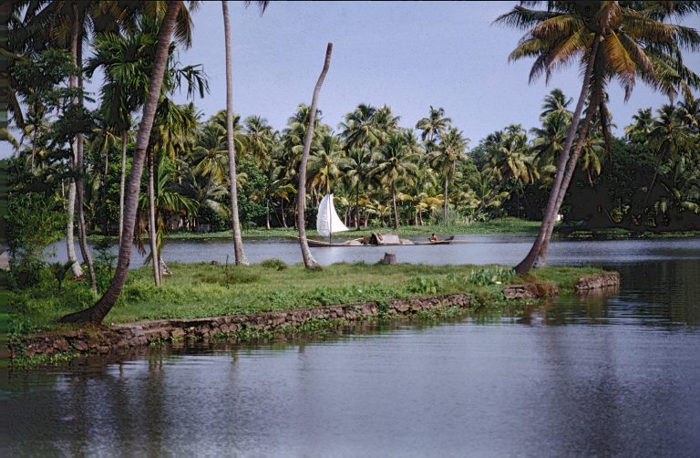 Backwaters, Kerala