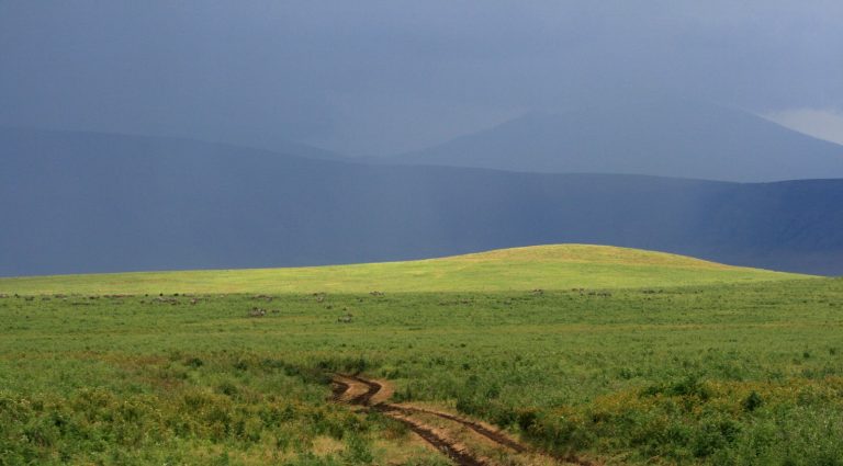 Paysage Tanzanie