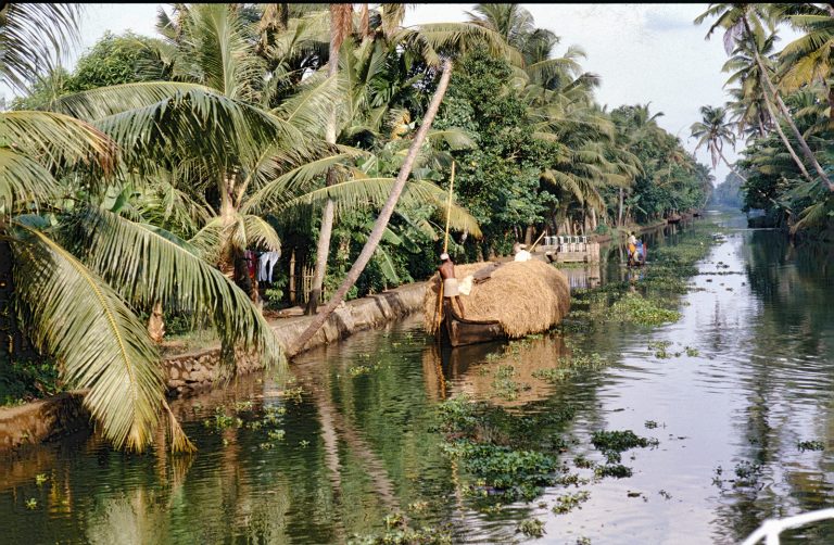 Backwaters, Kerala