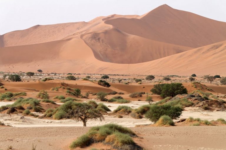 Sossusvlei, Sesriem, Namibia