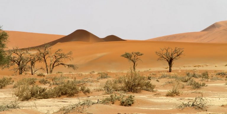 Sossusvlei, Sesriem, Namibia
