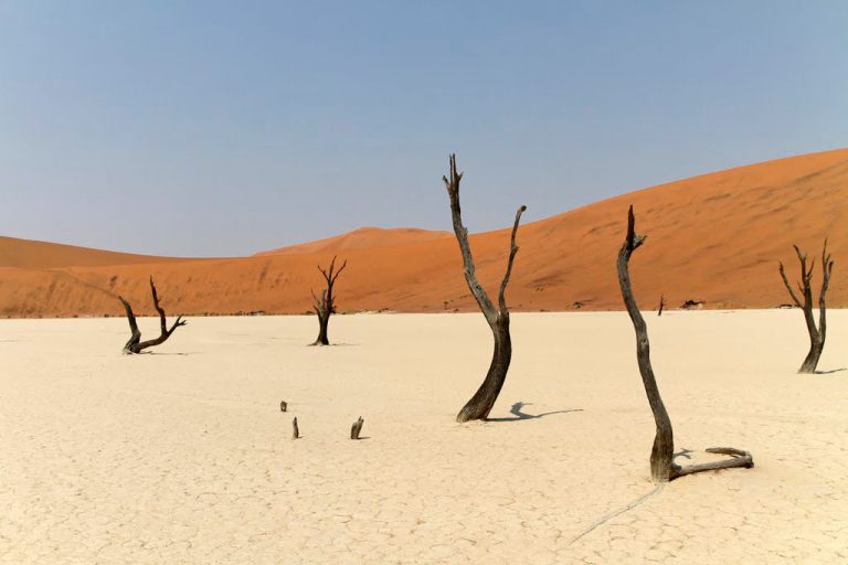 Dead vlei, Sesriem, Namibia