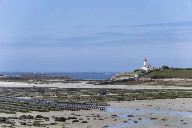 Parcs à huitres, Bretagne