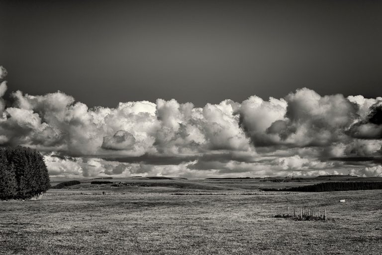 Paysage d'Aubrac