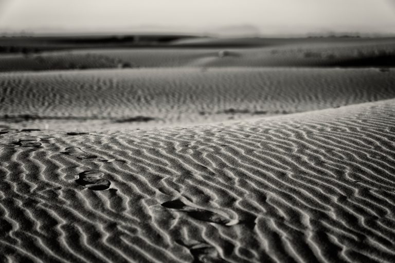 Empreinte de pas dans le sable ondulant sur la plage de l'Espiguette en bordure de la Méditerranée