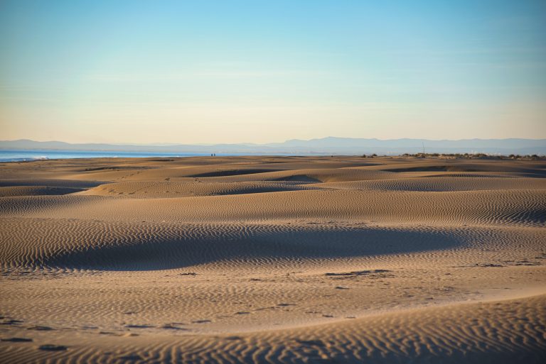 Immense plage de sable clair ondulant par vagues