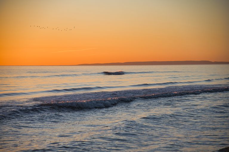 Vol de mouettes au coucher du soleil sur la mer Méditerranée