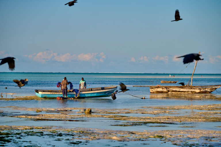 Retour de pêche à Zanzibar Jambiani