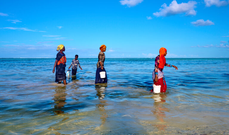 Pêcheuses à Zanzibar Matemwe