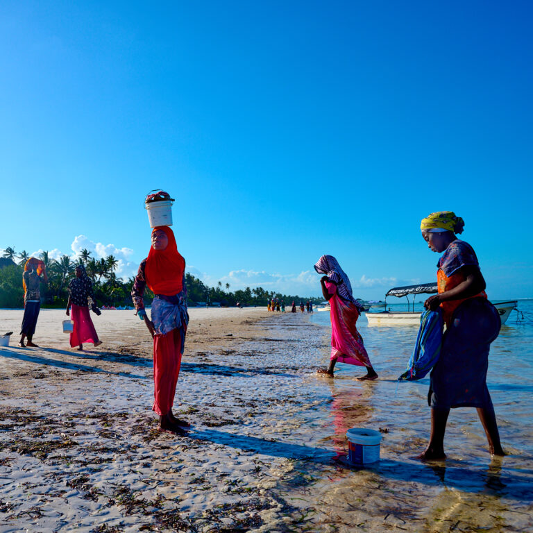 Retour de pêche à Pêcheuses à Zanzibar Matemwe
