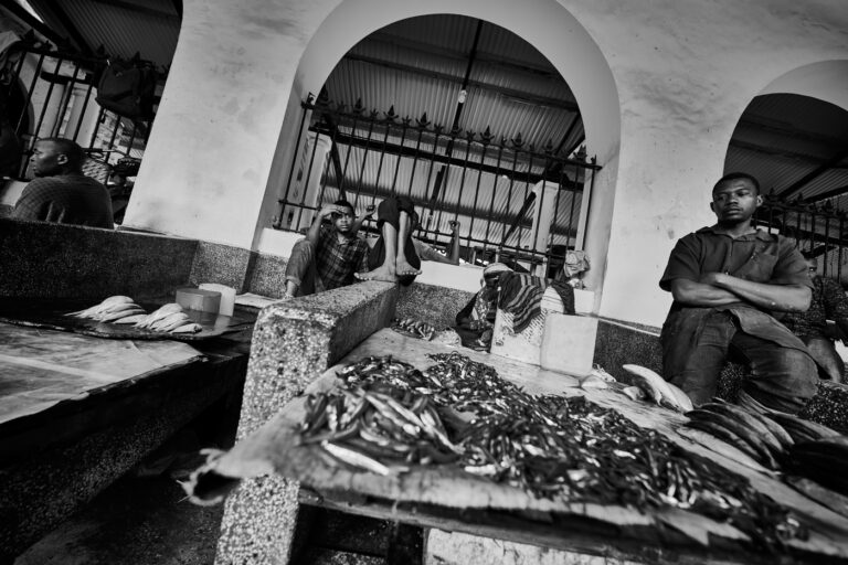 Marché aux poissons de Stonetown à Zanzibar