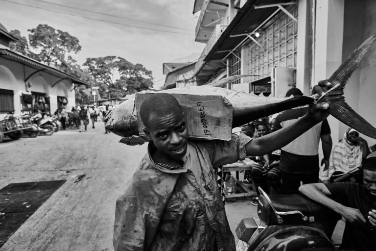 Thon sur l'épaule, Marché aux poissons de Stonetown à Zanzibar